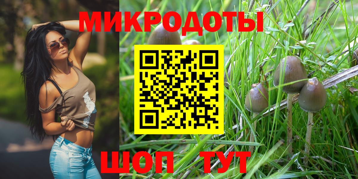 Галлюциногенные грибы MAGIC MUSHROOMS  Вход с VPN  Самара 